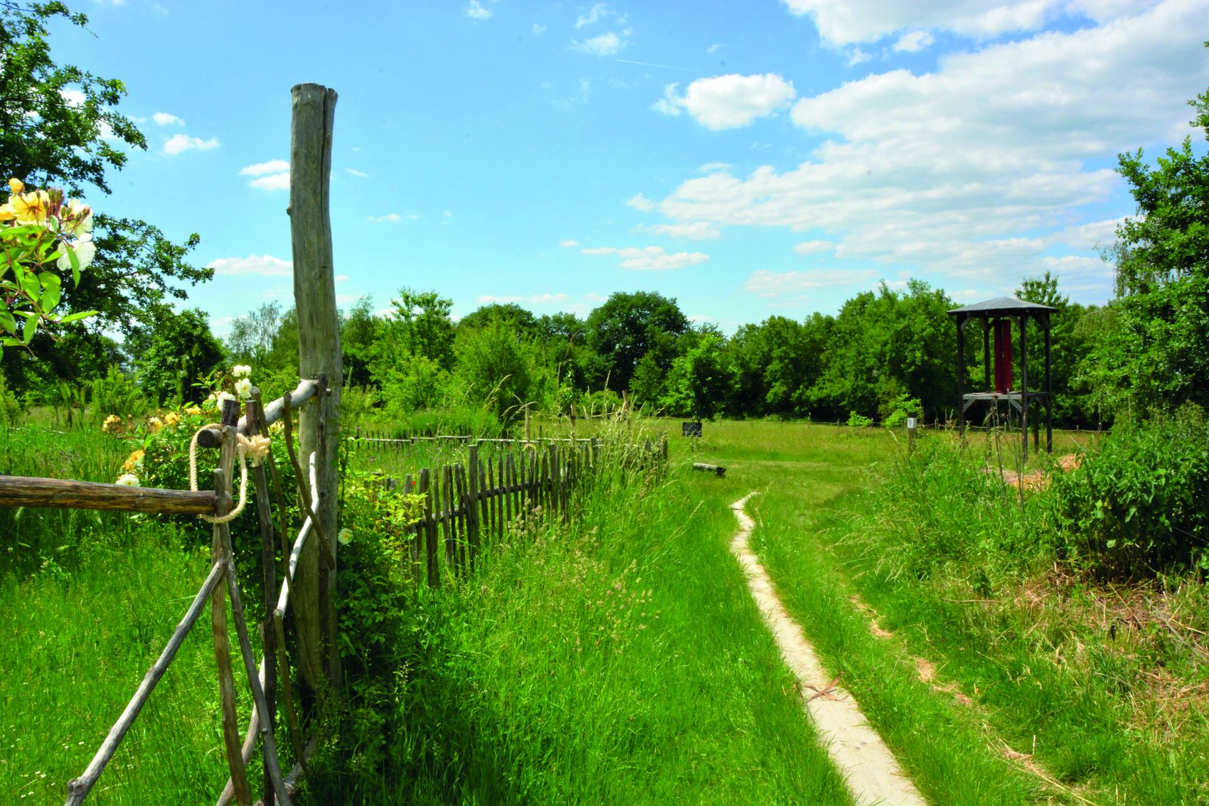 {nbase:fileProperty(propertyName: 'alternative', falId: {item})}