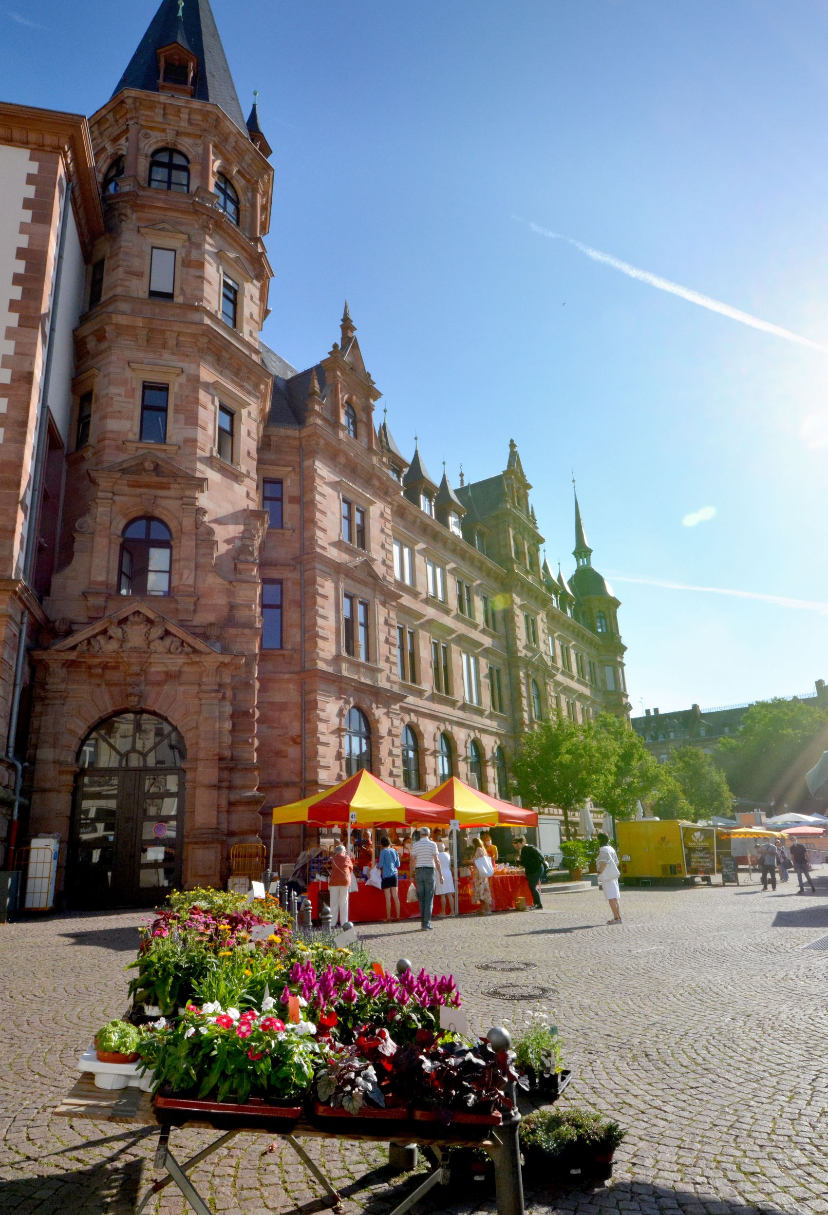 {nbase:fileProperty(propertyName: 'alternative', falId: {item})}