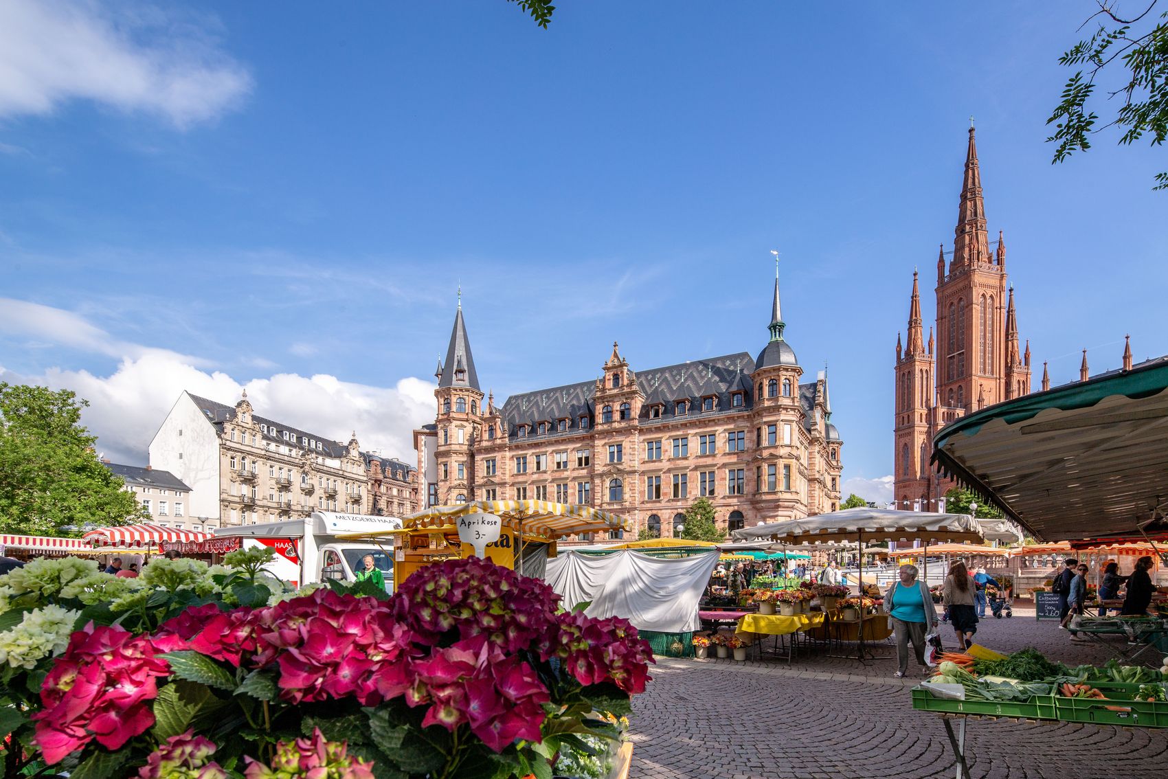 {nbase:fileProperty(propertyName: 'alternative', falId: {item})}