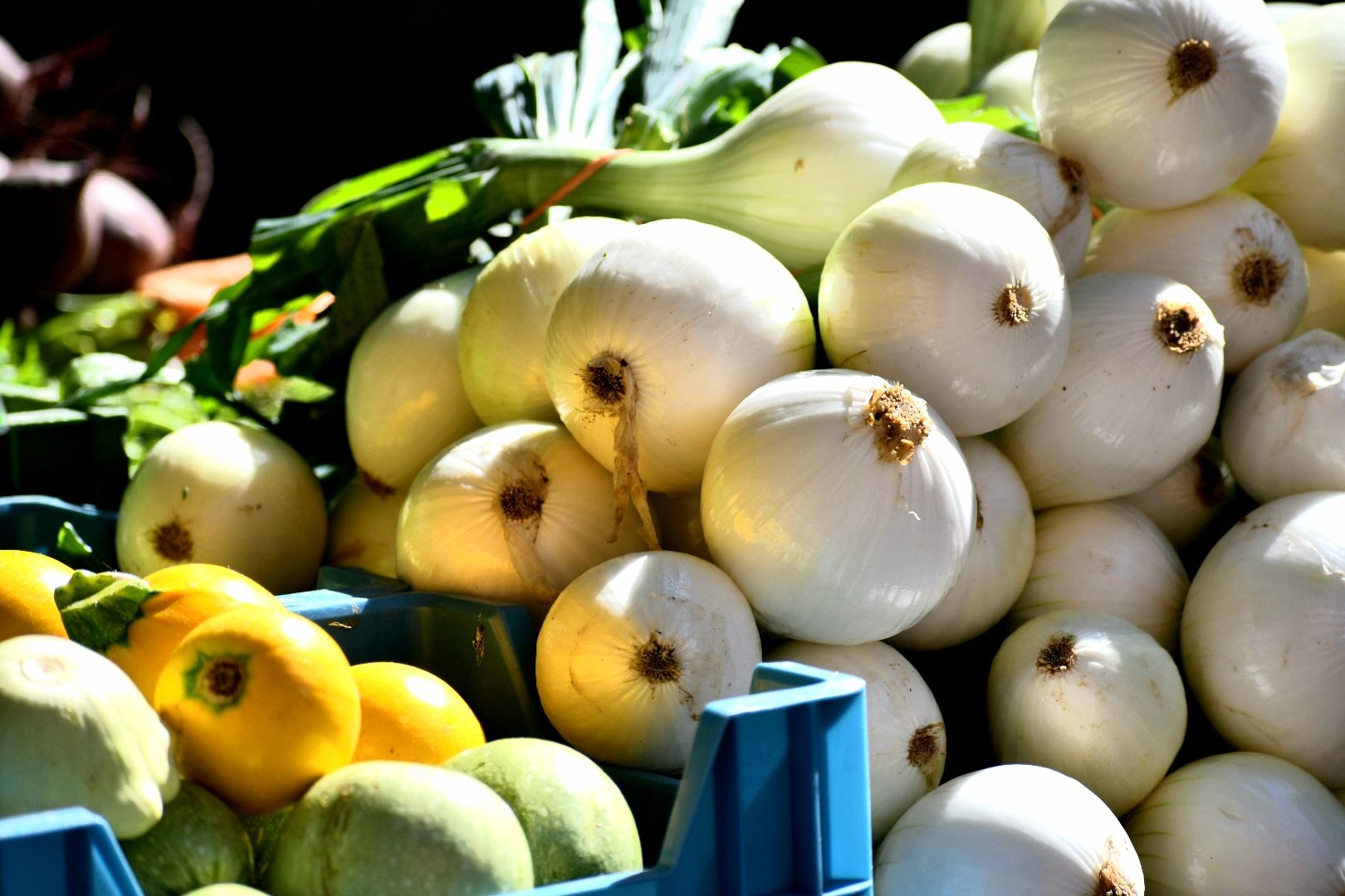 {nbase:fileProperty(propertyName: 'alternative', falId: {item})}