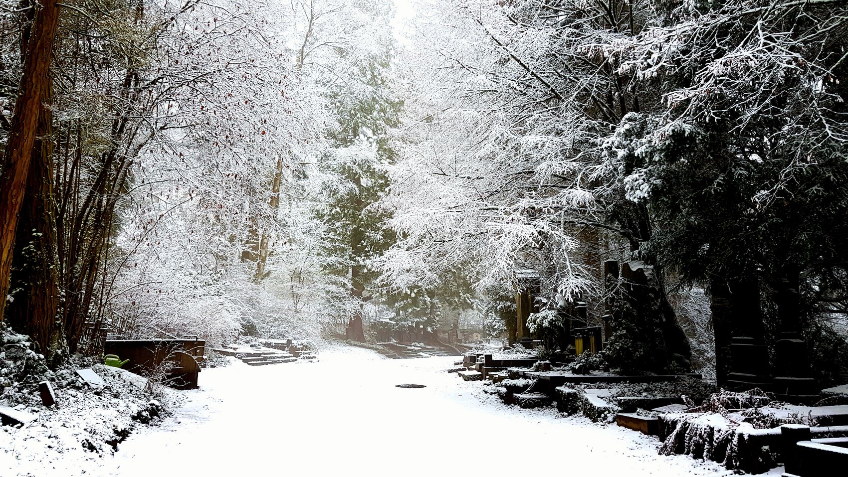 {nbase:fileProperty(propertyName: 'alternative', falId: {item})}