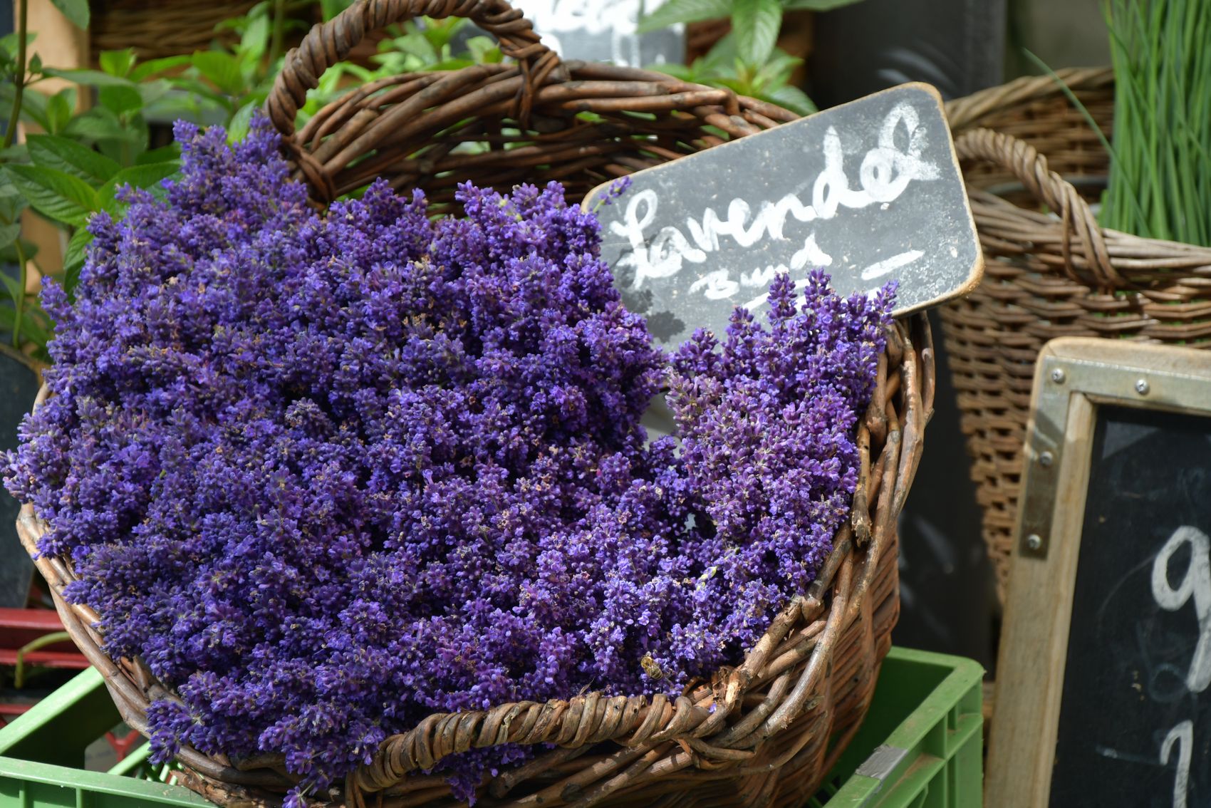 {nbase:fileProperty(propertyName: 'alternative', falId: {item})}