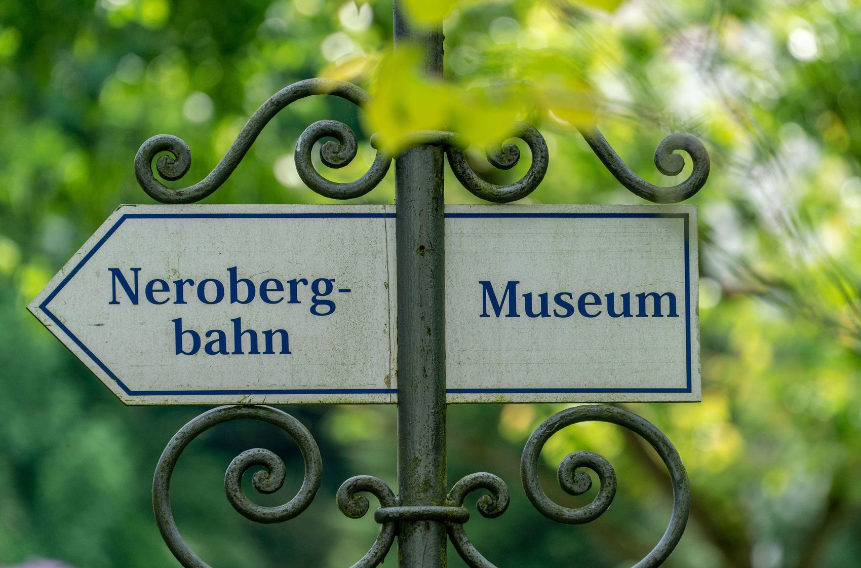 {nbase:fileProperty(propertyName: 'alternative', falId: {item})}