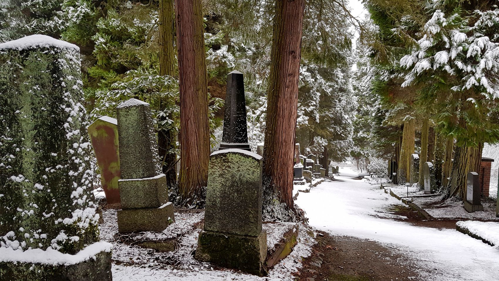 {nbase:fileProperty(propertyName: 'alternative', falId: {item})}